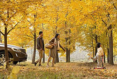 《明末：渊虚之羽》1.6版本更新 豪华版专属内容与免费头饰装备上线