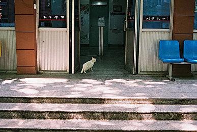 《重返猴岛》成为该系列中最快畅销游戏